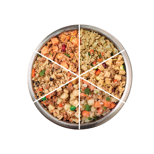 Sampler Variety Box JustFoodForDogs